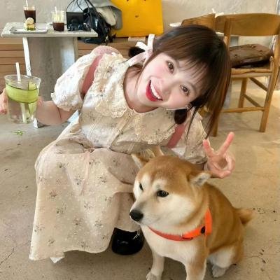 替身传奇乐翻天